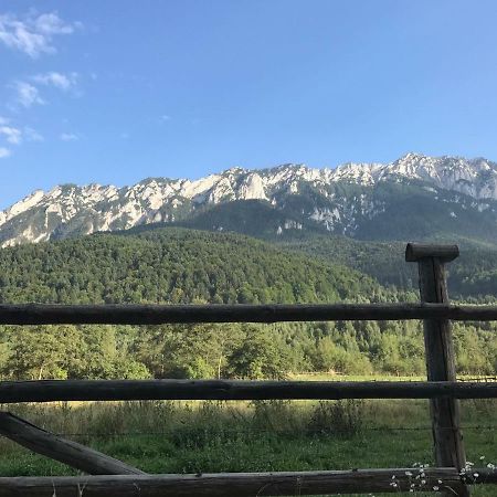 Pensiunea Kyfana Zărneşti 외부 사진