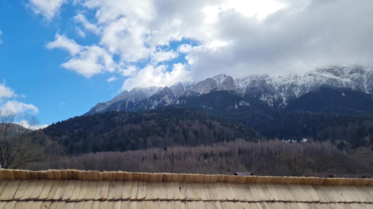 Pensiunea Kyfana Zărneşti 외부 사진