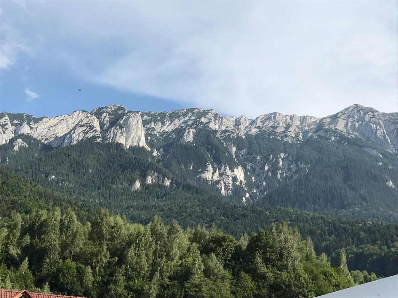 Pensiunea Kyfana Zărneşti 외부 사진