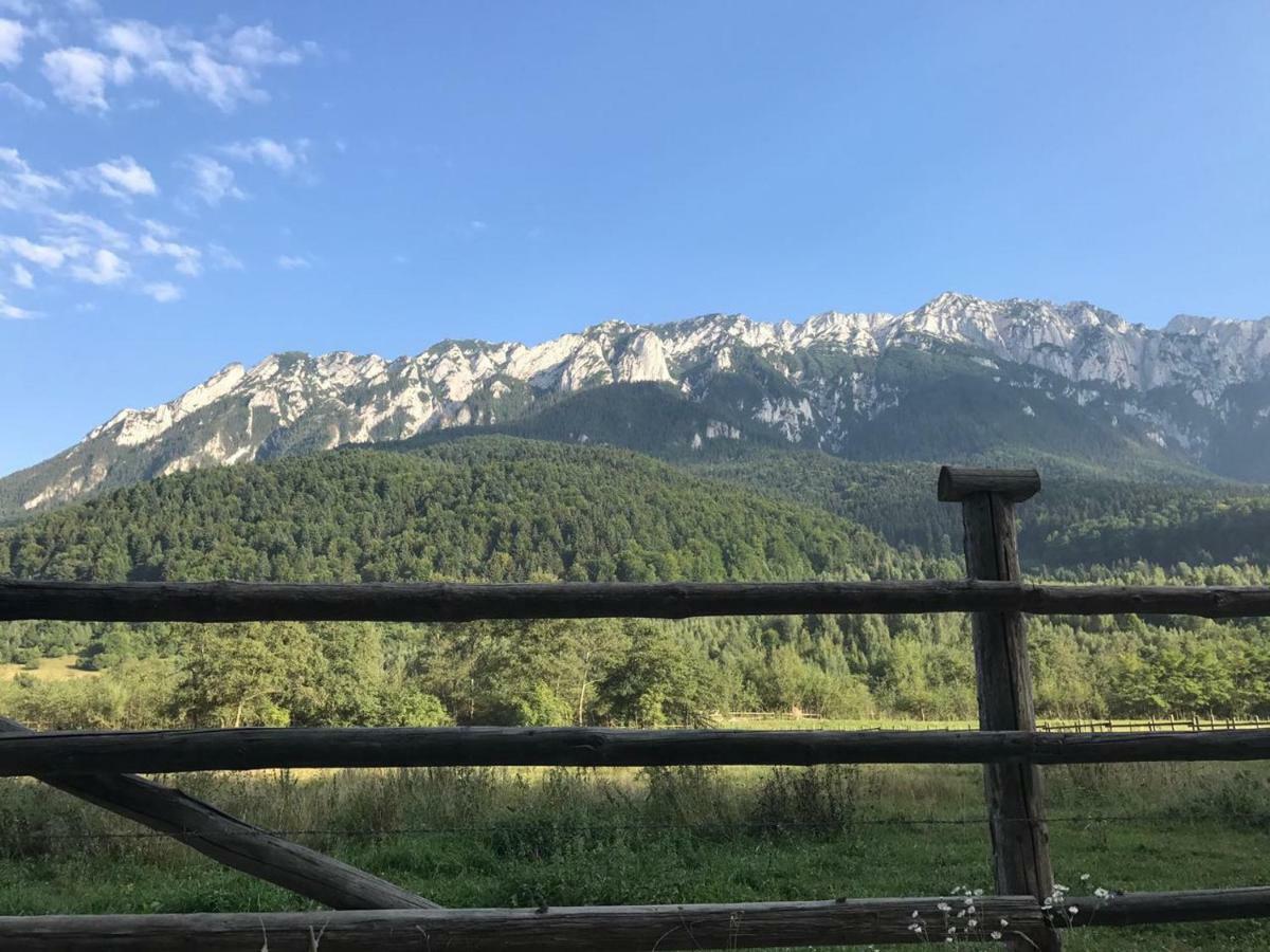 Pensiunea Kyfana Zărneşti 외부 사진